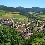Golla-lang Apartment Oberharmersbach
