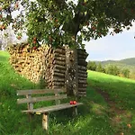Apartment Golla-lang Oberharmersbach