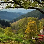 Apartment Golla-lang Oberharmersbach