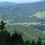 Apartment Golla-lang Oberharmersbach