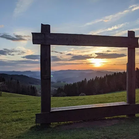 Apartamento Golla-lang Oberharmersbach