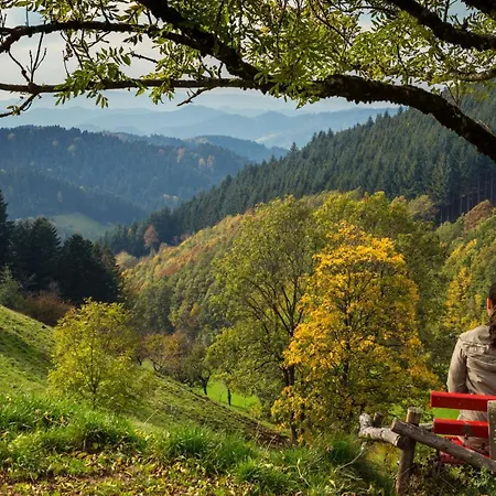 Apartmán Golla-lang Oberharmersbach