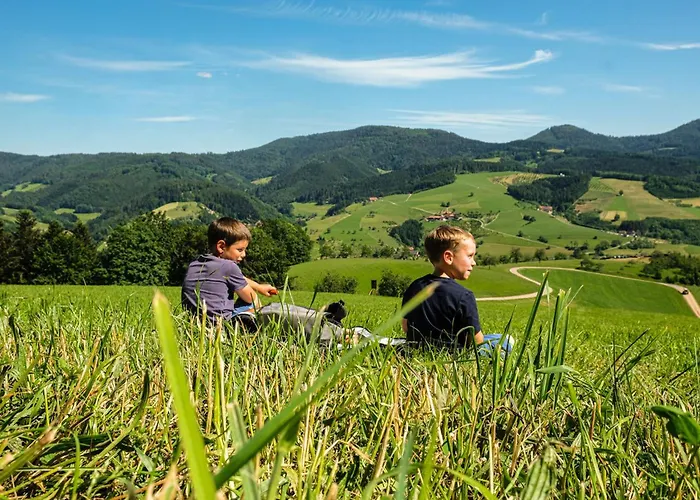 Apartament Golla-lang Oberharmersbach